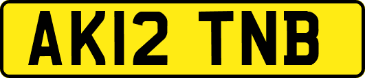 AK12TNB