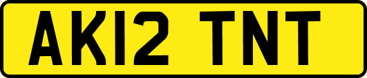 AK12TNT