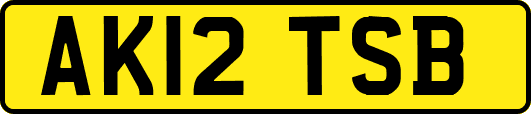 AK12TSB