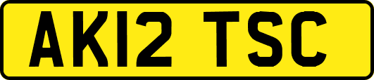 AK12TSC