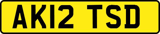 AK12TSD