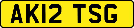 AK12TSG