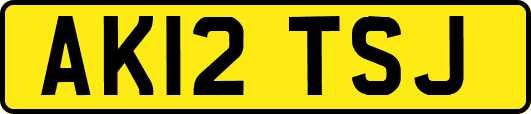 AK12TSJ