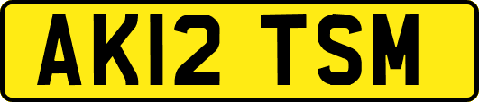 AK12TSM