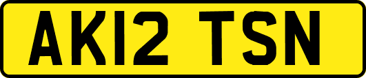 AK12TSN