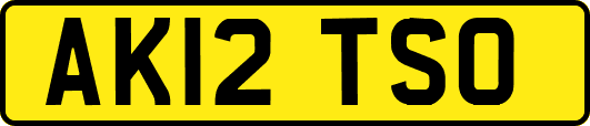 AK12TSO