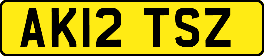 AK12TSZ