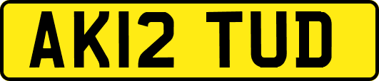 AK12TUD