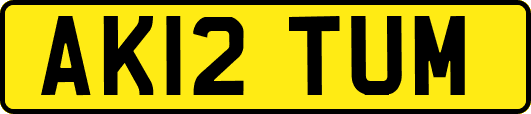 AK12TUM