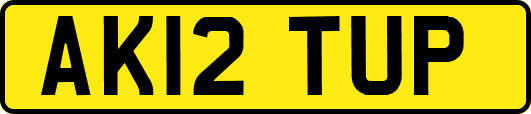 AK12TUP