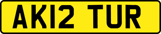AK12TUR