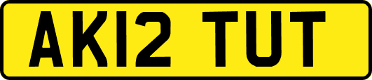 AK12TUT