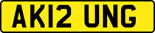 AK12UNG