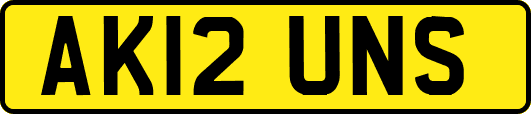 AK12UNS