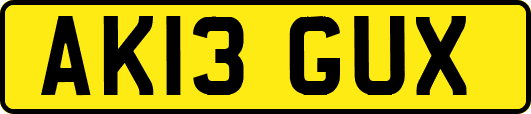 AK13GUX