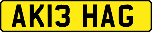 AK13HAG