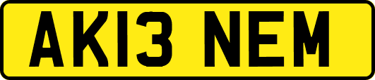 AK13NEM