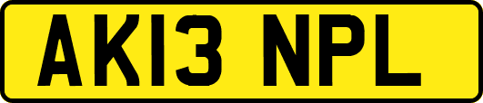 AK13NPL
