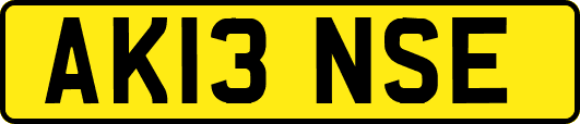 AK13NSE
