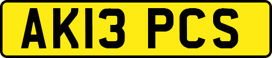 AK13PCS
