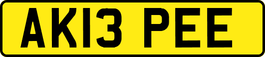 AK13PEE