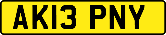 AK13PNY