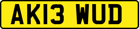 AK13WUD