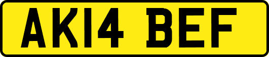 AK14BEF