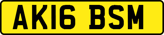 AK16BSM