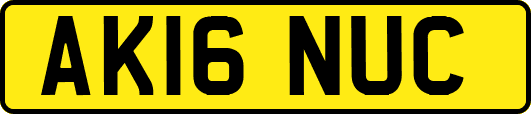 AK16NUC