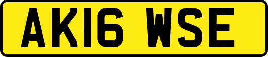 AK16WSE