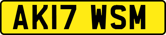 AK17WSM