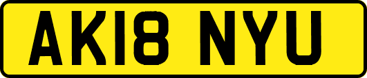 AK18NYU