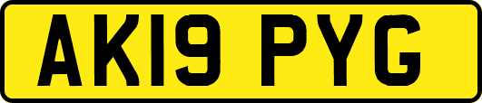 AK19PYG