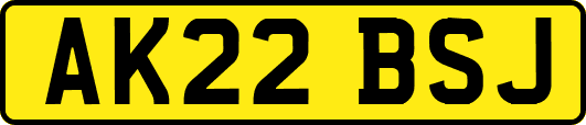 AK22BSJ