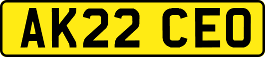 AK22CEO