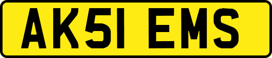 AK51EMS