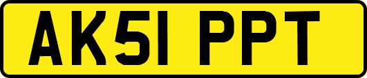 AK51PPT