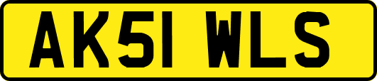 AK51WLS