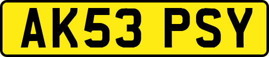 AK53PSY