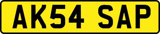 AK54SAP