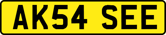 AK54SEE