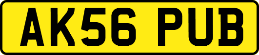 AK56PUB