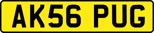AK56PUG