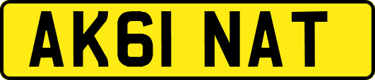 AK61NAT