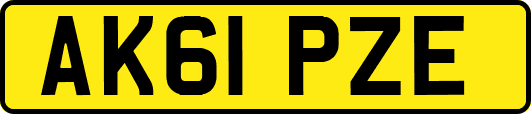 AK61PZE