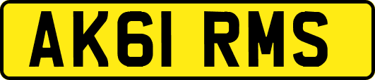 AK61RMS