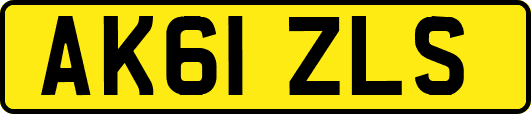 AK61ZLS