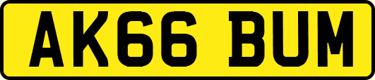 AK66BUM