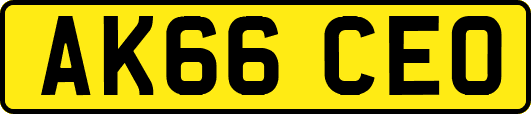 AK66CEO